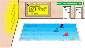 Graphical abstract: Lessons learnt in photocatalysis – the influence of solvent polarity and the photostability of the photocatalyst