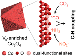 Graphical abstract: Efficient C–N coupling for urea electrosynthesis on defective Co3O4 with dual-functional sites