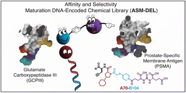 Graphical abstract: DNA-encoded chemical libraries enable the discovery of potent PSMA-ligands with substantially reduced affinity towards the GCPIII anti-target