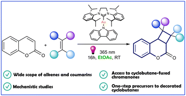 Graphical abstract: Synthesis of cyclobutane-fused chromanones via gold-mediated photocatalysis