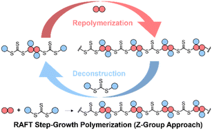 Graphical abstract: RAFT step-growth polymerization via the Z-group approach and deconstruction by RAFT interchange