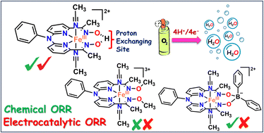 Graphical abstract: Catalytic reduction of oxygen to water by non-heme iron complexes: exploring the effect of the secondary coordination sphere proton exchanging site