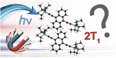 Graphical abstract: Singlet fission in TIPS-anthracene thin films