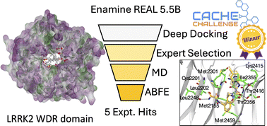 Graphical abstract: In silico screening of LRRK2 WDR domain inhibitors using deep docking and free energy simulations