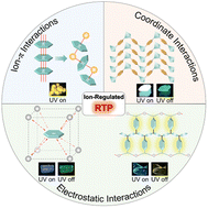 Graphical abstract: Recent progress in ion-regulated organic room-temperature phosphorescence