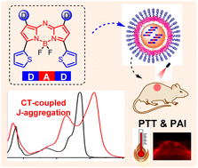 Graphical abstract: Rational design of CT-coupled J-aggregation platform based on Aza-BODIPY for highly efficient phototherapy