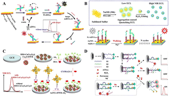 Graphical abstract: Recent advances in DNA-based electrogenerated chemiluminescence biosensors
