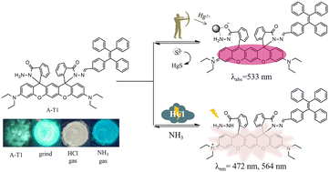 Graphical abstract: Tetraphenylethene-capped aminobenzopyranoxanthene hydrazone probes for colorimetric recognition of Hg2+ and fluorescent sensing of HCl gas