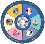 Graphical abstract: Self-powered sensors for biomarker detection