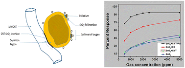 Graphical abstract: Beneficial effect of Pd and MWCNT co-loading in SnO2 nanoparticles towards the low temperature detection of n-butane gas: synergistic effect on sensing performance