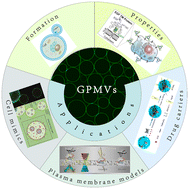 Graphical abstract: Formation of giant plasma membrane vesicles for biological and medical applications: a review