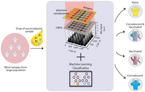 Graphical abstract: Machine-learning-aided multiplexed nanoplasmonic biosensor for COVID-19 population immunity profiling