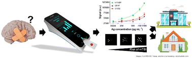 Graphical abstract: A novel point-of-care diagnostic prototype system for the simultaneous electrochemiluminescent sensing of multiple traumatic brain injury biomarkers