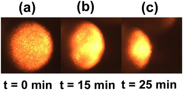 Graphical abstract: Machine learning based microfluidic sensing device for viscosity measurements