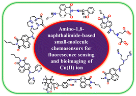 Graphical abstract: Fluorescence sensing and bioimaging of Cu(ii) ions using amino-1,8-naphthalimide-based small-molecule chemosensors