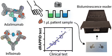 Graphical abstract: Point-of-care therapeutic drug monitoring of tumour necrosis factor-α inhibitors using a single step immunoassay