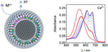 Graphical abstract: Polymersome-based ion-selective nano-optodes containing ionophores