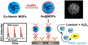 Graphical abstract: Functionalized metal–organic frameworks based on multi-catalyst ordered assembly for electrochemical stripping chemiluminescent immunoassay
