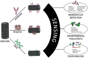 Graphical abstract: Bioengineered multi-walled carbon nanotube (MWCNT) based biosensors and applications thereof