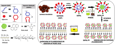 Graphical abstract: A water soluble fluorescent probe for selective and sensitive detection of picric acid – a nitroexplosive