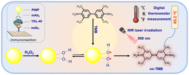 Graphical abstract: Platinum nanozyme-mediated temperature sensor for sensitive photothermal immunoassay of YKL-40 under near-infrared light