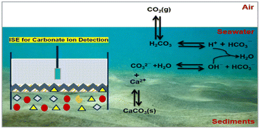 Graphical abstract: Recent developments in ionophore-based potentiometric electrochemical sensors for oceanic carbonate detection
