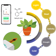 Graphical abstract: Sustainable agriculture with LEAFS: a low-cost electrochemical analyzer of foliage stress