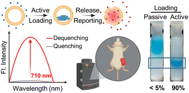 Graphical abstract: Active loading of cyanine 5.5 derivatives into liposomes for deep self-quenching and their applications in deep tissue imaging