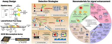 Graphical abstract: Paper-based point of care diagnostics for cancer biomarkers