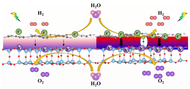 Graphical abstract: A Li–F co-doped g-C3N4/TiO2-B(001) heterostructure as an efficient hydrogen evolution photocatalyst