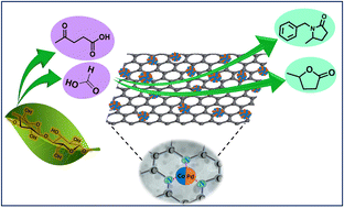 Graphical abstract: A CoPd nanoalloy embedded N-doped porous carbon catalyst for the selective reduction and reductive amination of levulinic acid using formic acid in water
