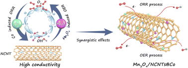 Graphical abstract: Biomass chitosan-derived Co-induced N-doped carbon nanotubes to support Mn3O4 as efficient electrocatalysts for rechargeable Zn–air batteries