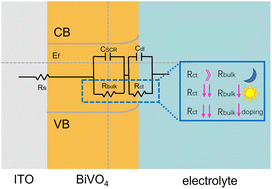 Graphical abstract: Influence of Mo doping on interfacial charge carrier dynamics in photoelectrochemical water oxidation on BiVO4
