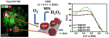 Graphical abstract: Correlating nickel functionalities to selectivity for hydrogen peroxide electrosynthesis