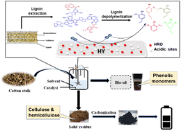 Graphical abstract: Lignin-first biorefinery approach for the valorization of cotton stalks to phenolic monomers