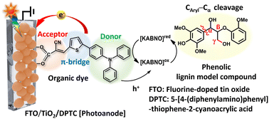 Graphical abstract: Solar energy driven C–C bond cleavage in a lignin model compound with a D–π–A organic dye-sensitized photoanode