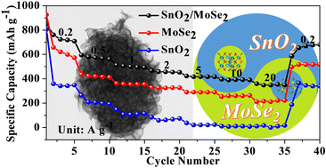 Graphical abstract: Constructing SnO2–MoSe2 heterojunction nanoflowers as high-rate and ultrastable anodes for sodium-ion half/full batteries