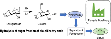 Graphical abstract: Hydrolysis of anhydrosugars derived from pyrolysis of lignocellulosic biomass for integration in a biorefinery