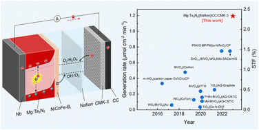 Graphical abstract: Bias-free photoelectrochemical H2O2 production with a solar-to-fuel conversion efficiency of 2.33%