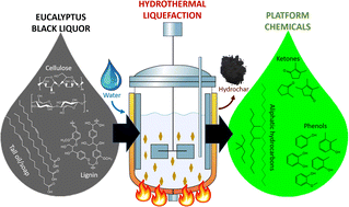 Graphical abstract: Platform chemicals from hardwood black liquor via hydrothermal liquefaction: influence of process conditions on product yields and quality