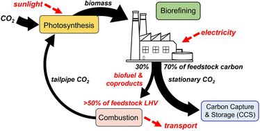 Graphical abstract: Carbon capture from corn stover ethanol production via mature consolidated bioprocessing enables large negative biorefinery GHG emissions and fossil fuel-competitive economics