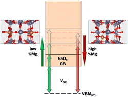 Graphical abstract: The role of Mg dopant concentration in tuning the performance of the SnO2 electron transport layer in perovskite solar cells