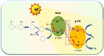 Graphical abstract: A Ni3V2O8@g-CN nanocomposite-based p-n heterojunction: mechanistic insights into photocatalytic activation of the inert C(sp3)–H bond