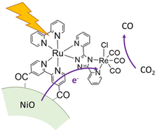 Graphical abstract: Ruthenium–rhenium and ruthenium–palladium supramolecular photocatalysts for photoelectrocatalytic CO2 and H+ reduction