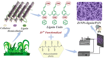 Graphical abstract: Lignin-assembled zirconium-based PNA nanofiber for the catalytic transfer hydrogenation of furfural into furfuryl alcohol