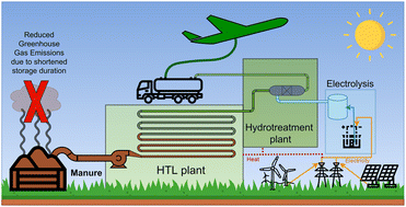Graphical abstract: Life-cycle assessment of renewable fuel production via hydrothermal liquefaction of manure in Germany