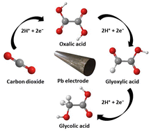 Graphical abstract: Optimising the electrochemical reduction of CO2 to oxalic acid in propylene carbonate