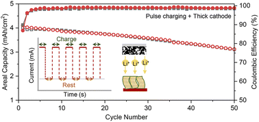 Graphical abstract: Energy-dense anode-free rechargeable lithium metal batteries based on thick cathodes and pulse charging strategies