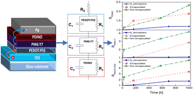 Graphical abstract: Understanding the role of interfacial layers in the photostability of PM6:Y7-based organic solar cells under different degradation conditions
