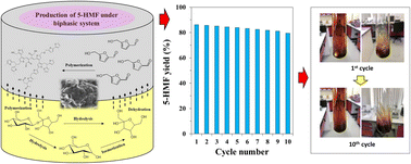 Graphical abstract: Selective regression models for the rapid upgrading of raw sugar into 5-HMF bio-fuel additive under a sustainable/reusable system